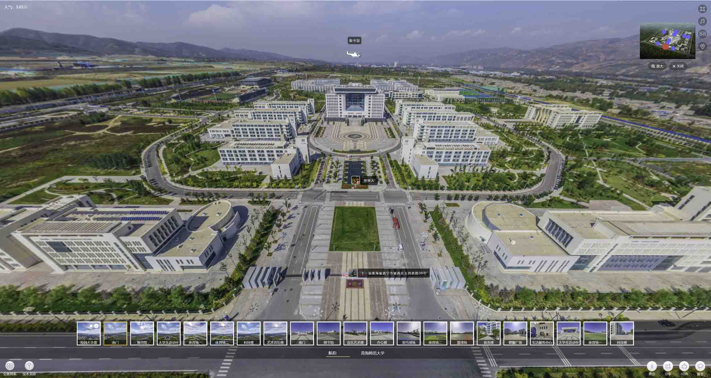 台安油菜花-惊艳半生的花海仙境